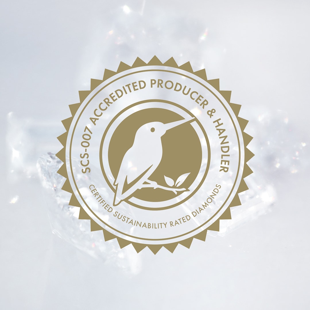 Supplier Spotlight WD Lab Grown Diamonds American Gem Society