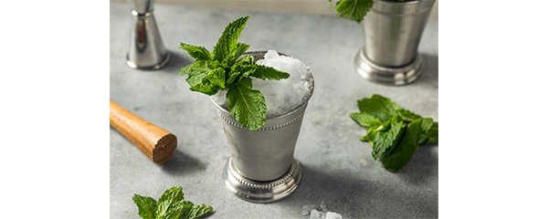 Mint Julep
