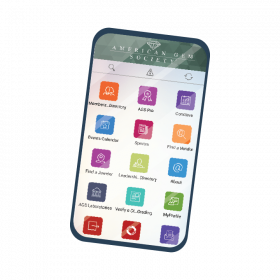 agsgo-mockup (1) AGS Go on mobile device