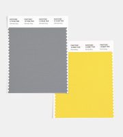 Pantone Colors 2021